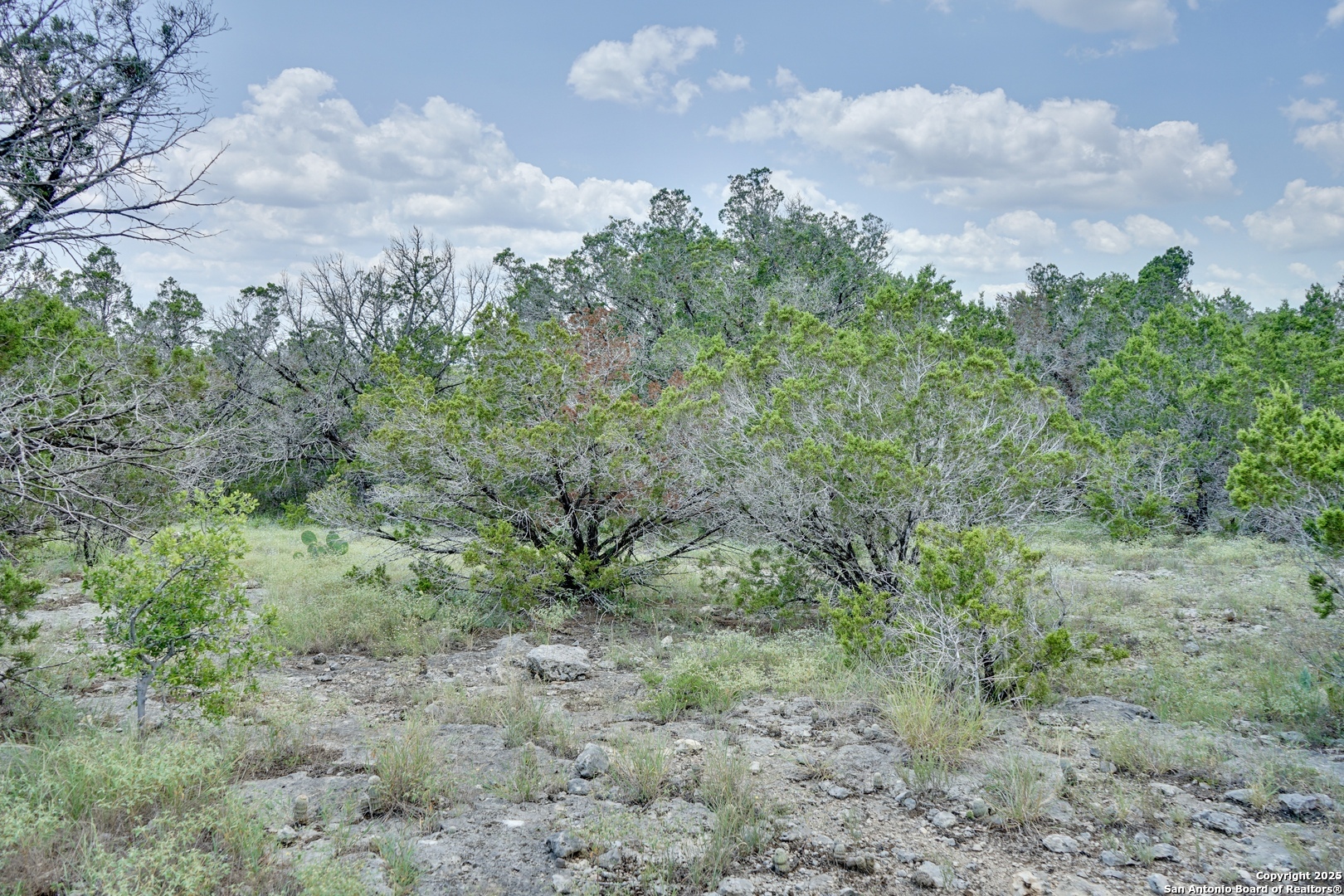 447 Coyote Trail Spring Branch TX 78070