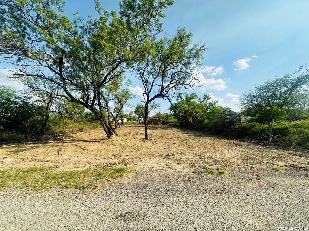 347 Washington Street El Indio TX 78860