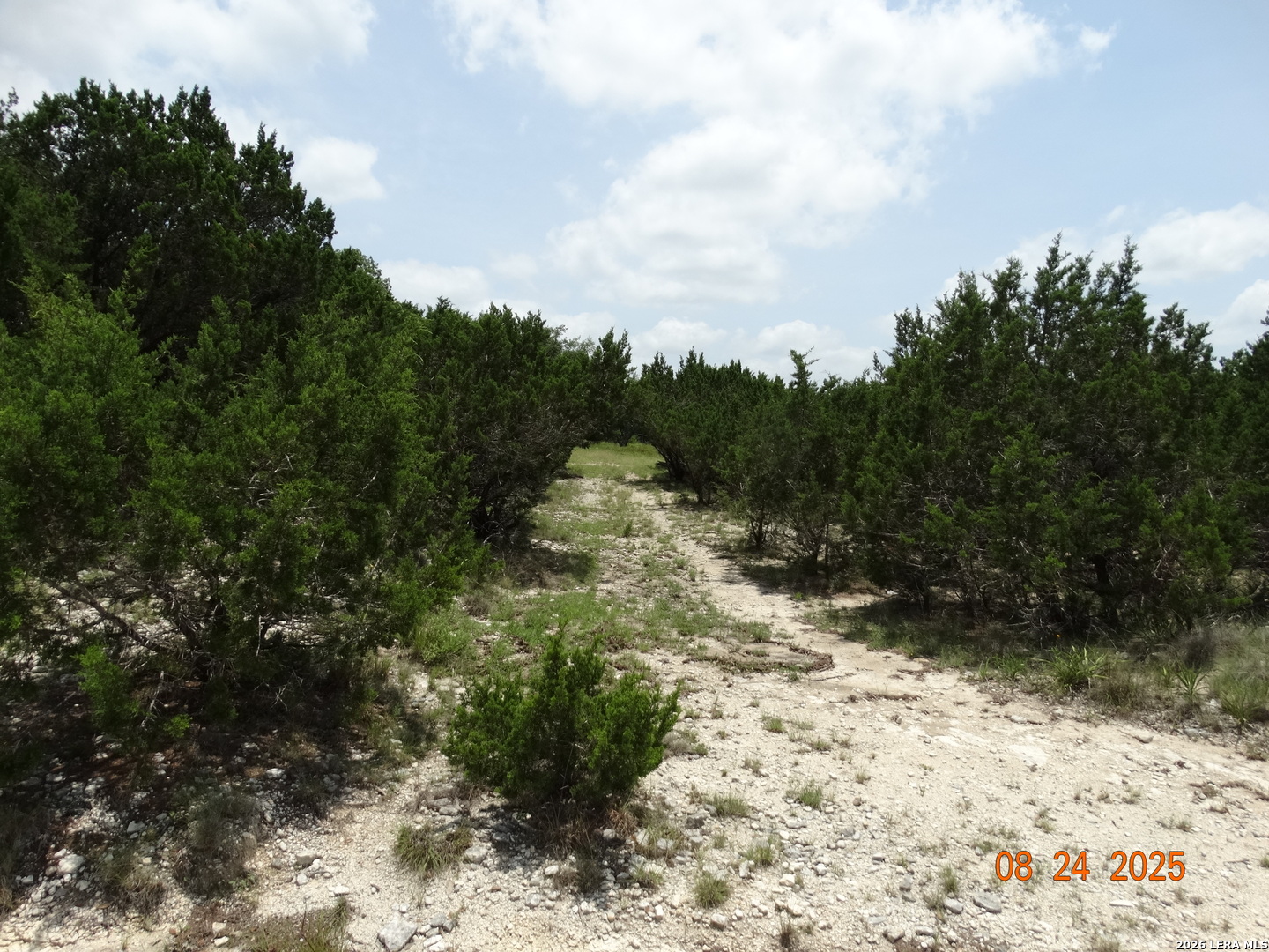 9942 Circle Hill San Antonio TX 78255