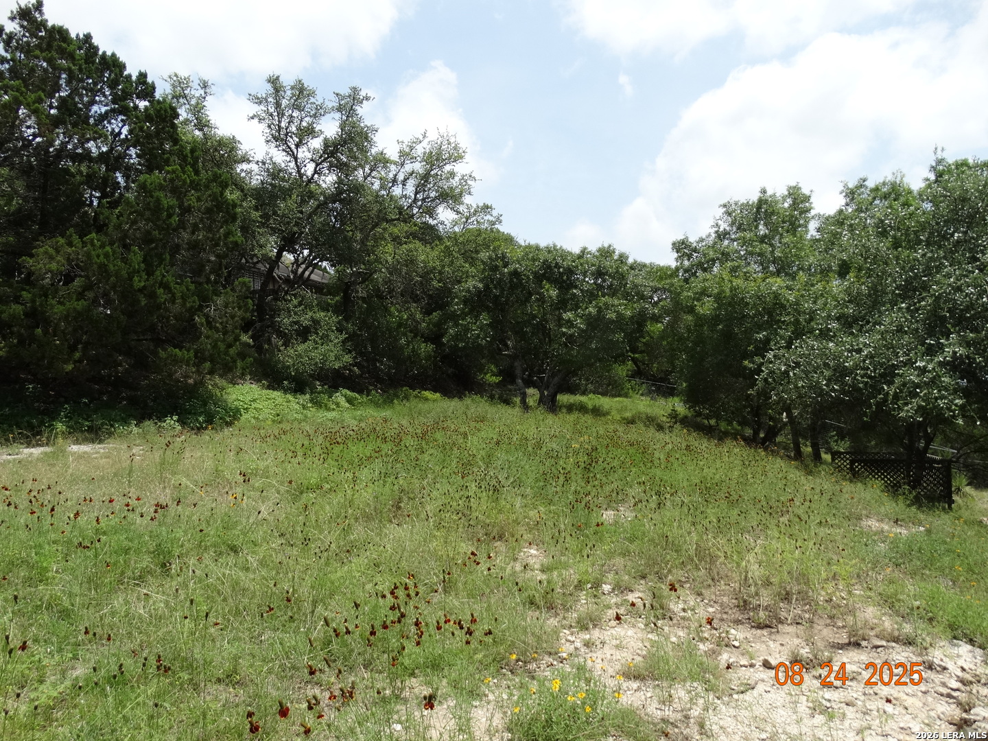 9942 Circle Hill San Antonio TX 78255