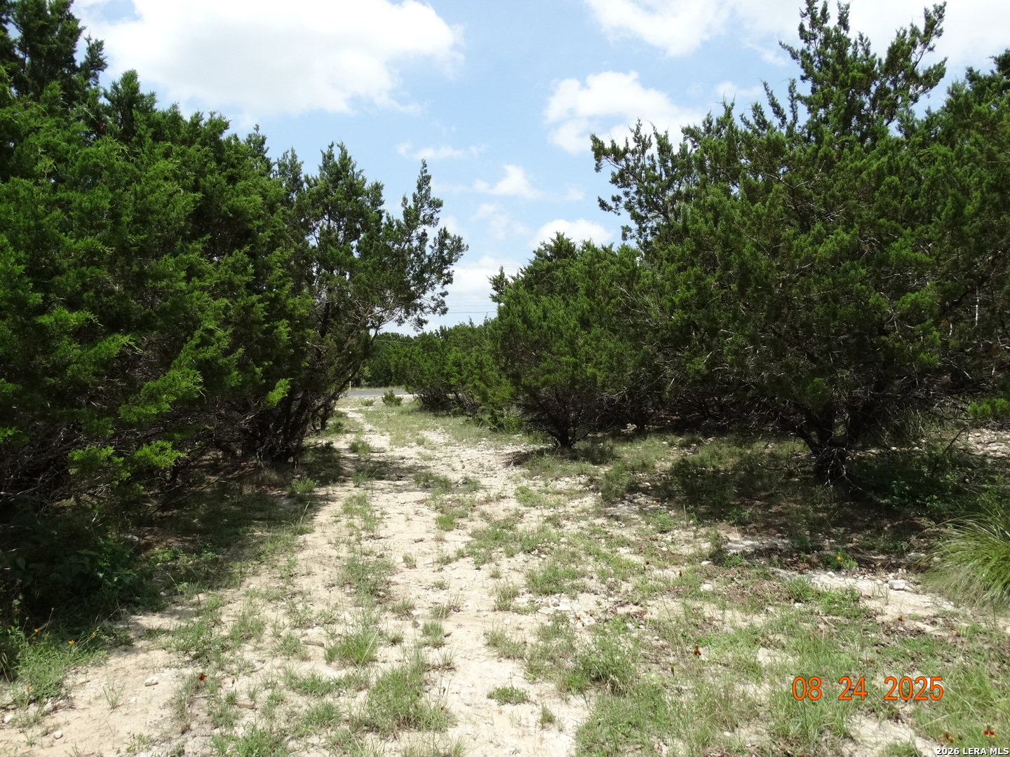 9942 Circle Hill San Antonio TX 78255