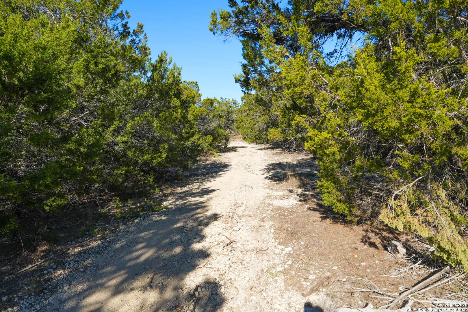 1515 Old Boerne Road Bulverde TX 78163
