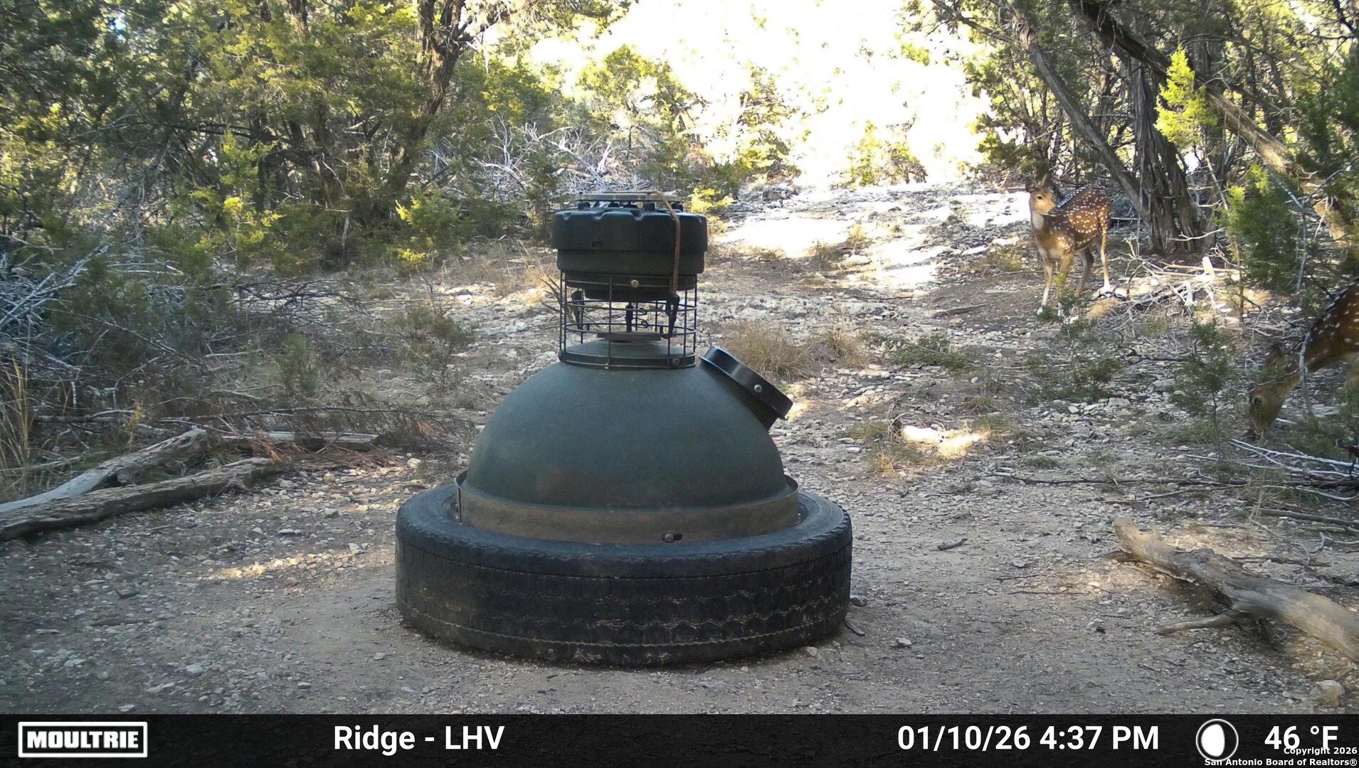 1515 Old Boerne Road Bulverde TX 78163