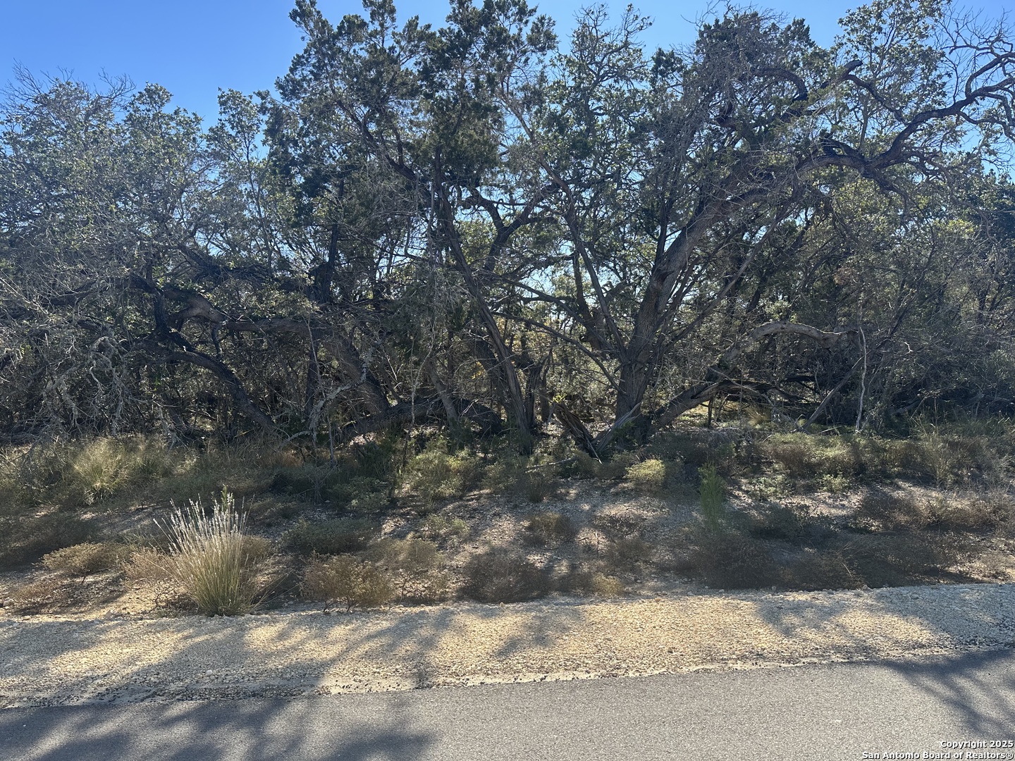 935 Serene Park Spring Branch TX 78070