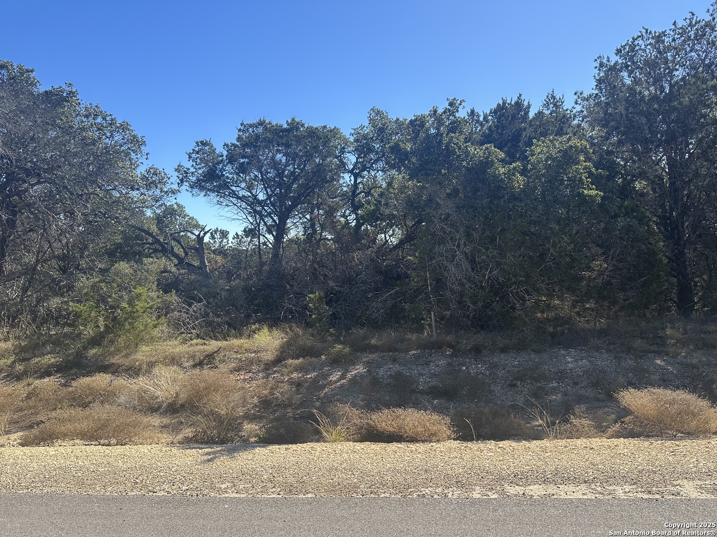 935 Serene Park Spring Branch TX 78070