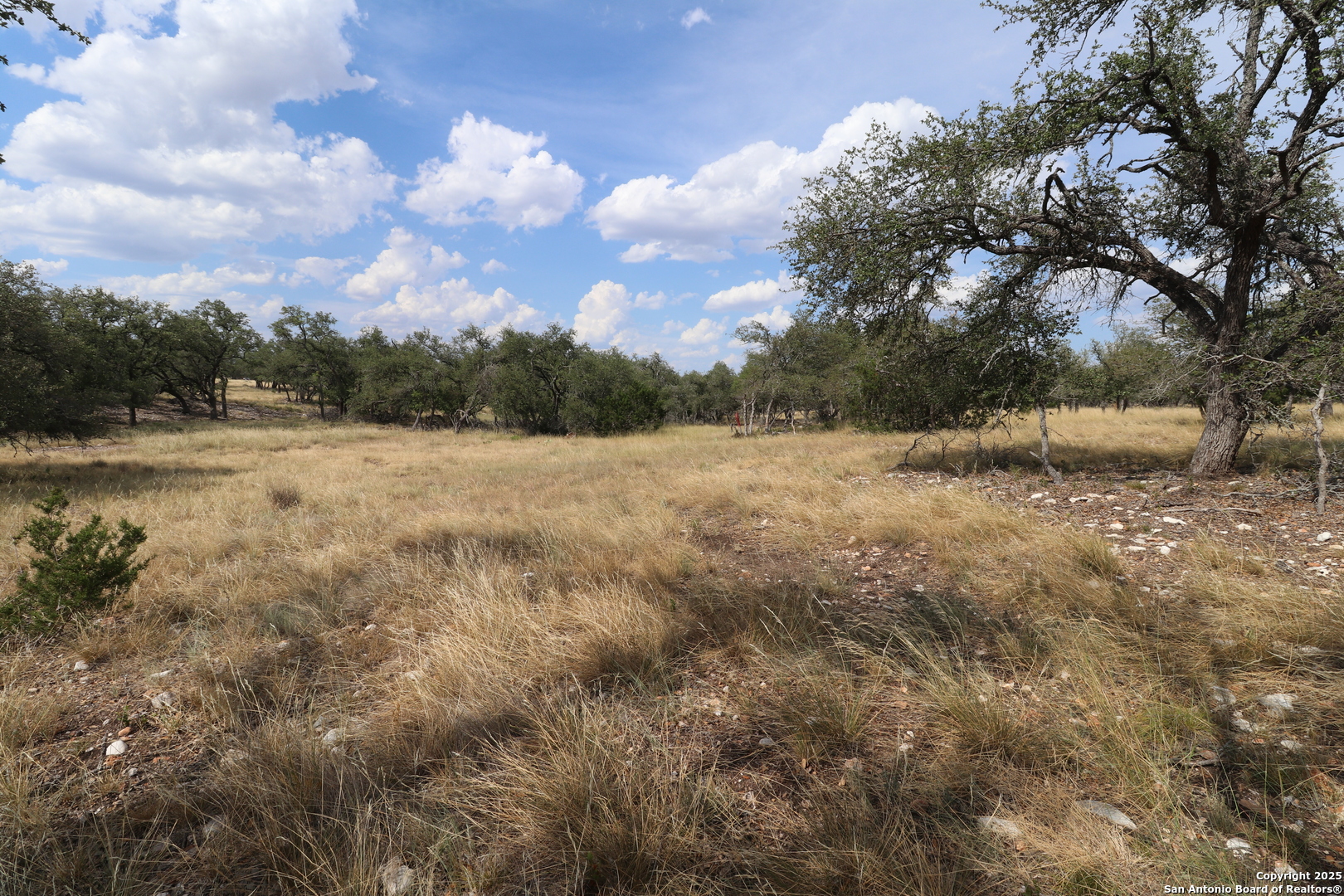 97 Nott Branch Road Harper TX 78631