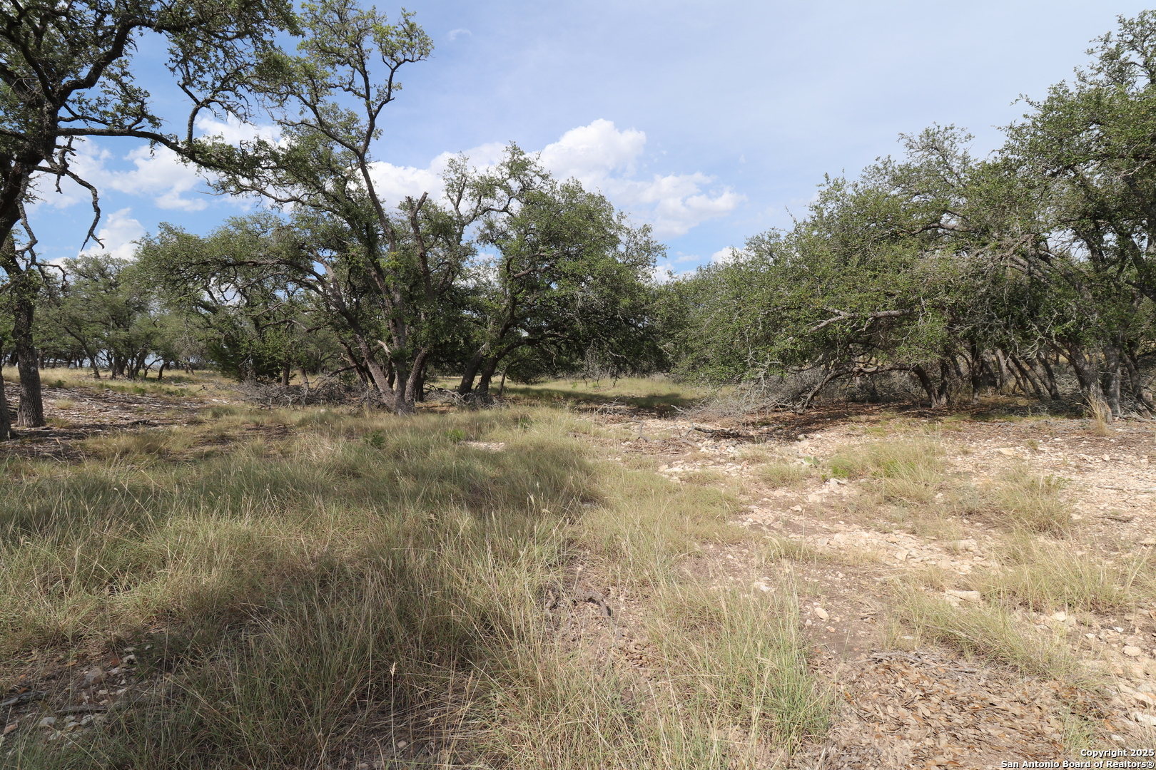 97 Nott Branch Road Harper TX 78631