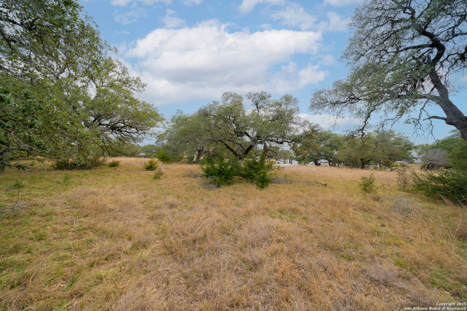 978 Maximino Ridge Road Bulverde TX 78163