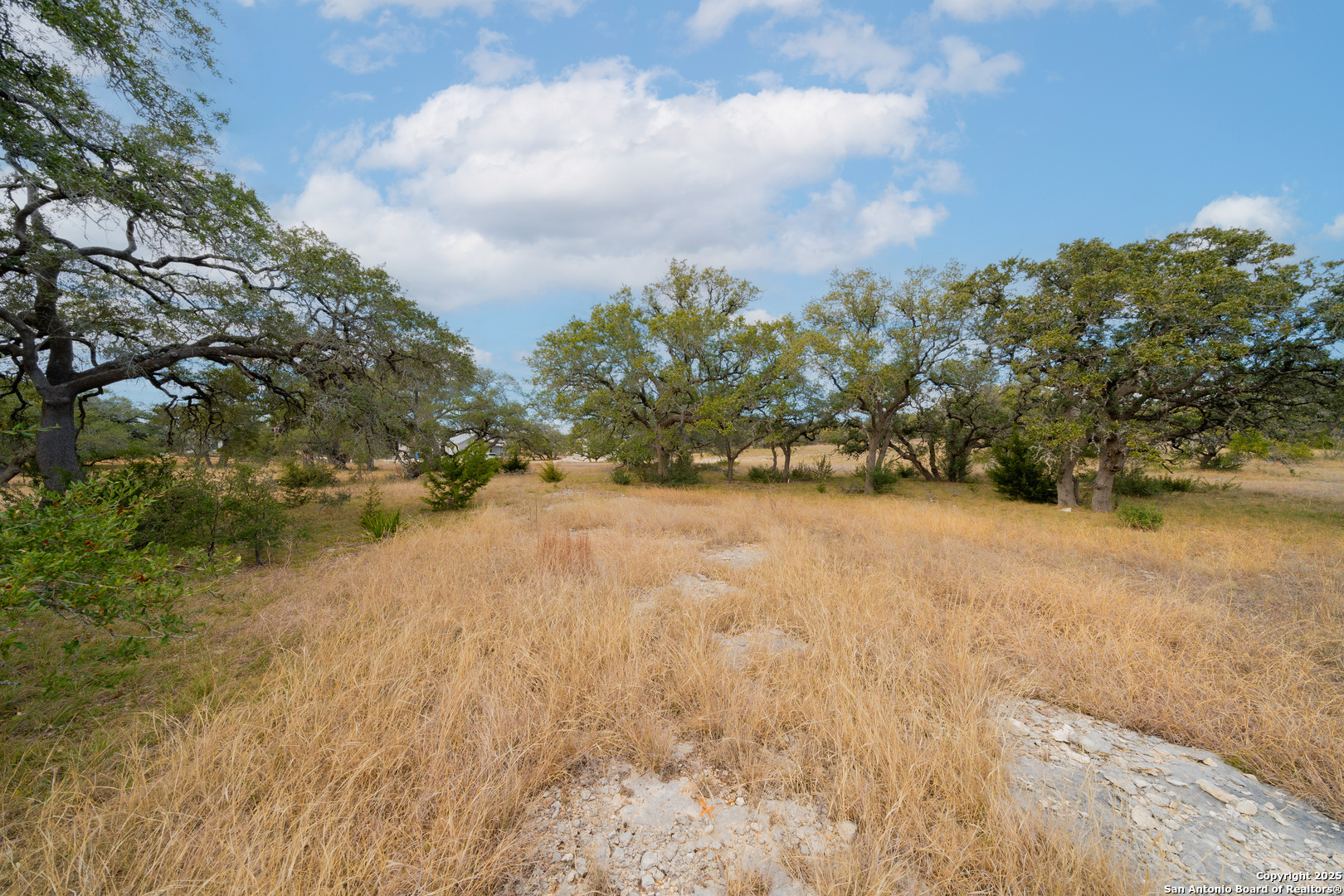 978 Maximino Ridge Road Bulverde TX 78163