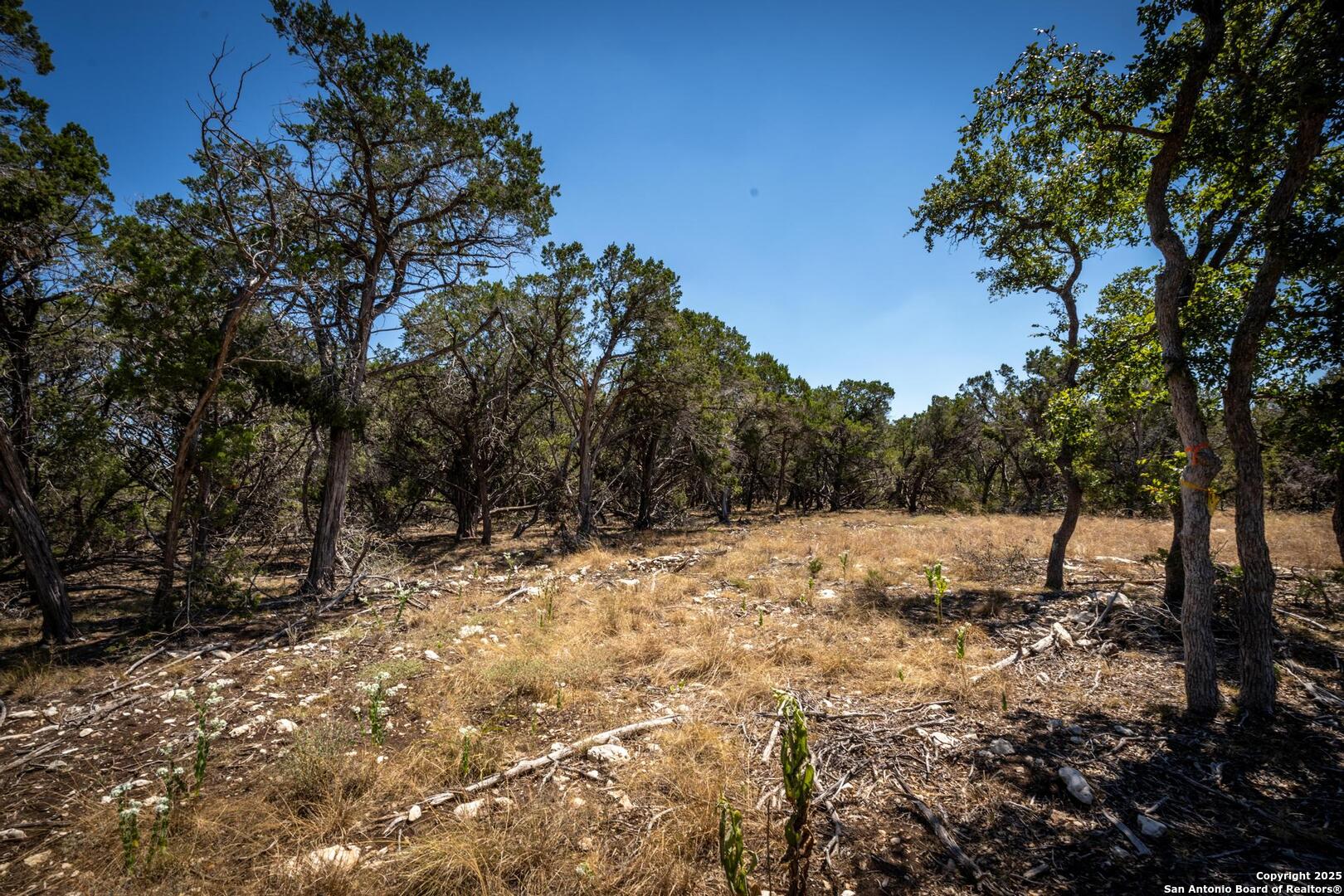 Lot 45 Mezcaya Trail Boerne TX 78006