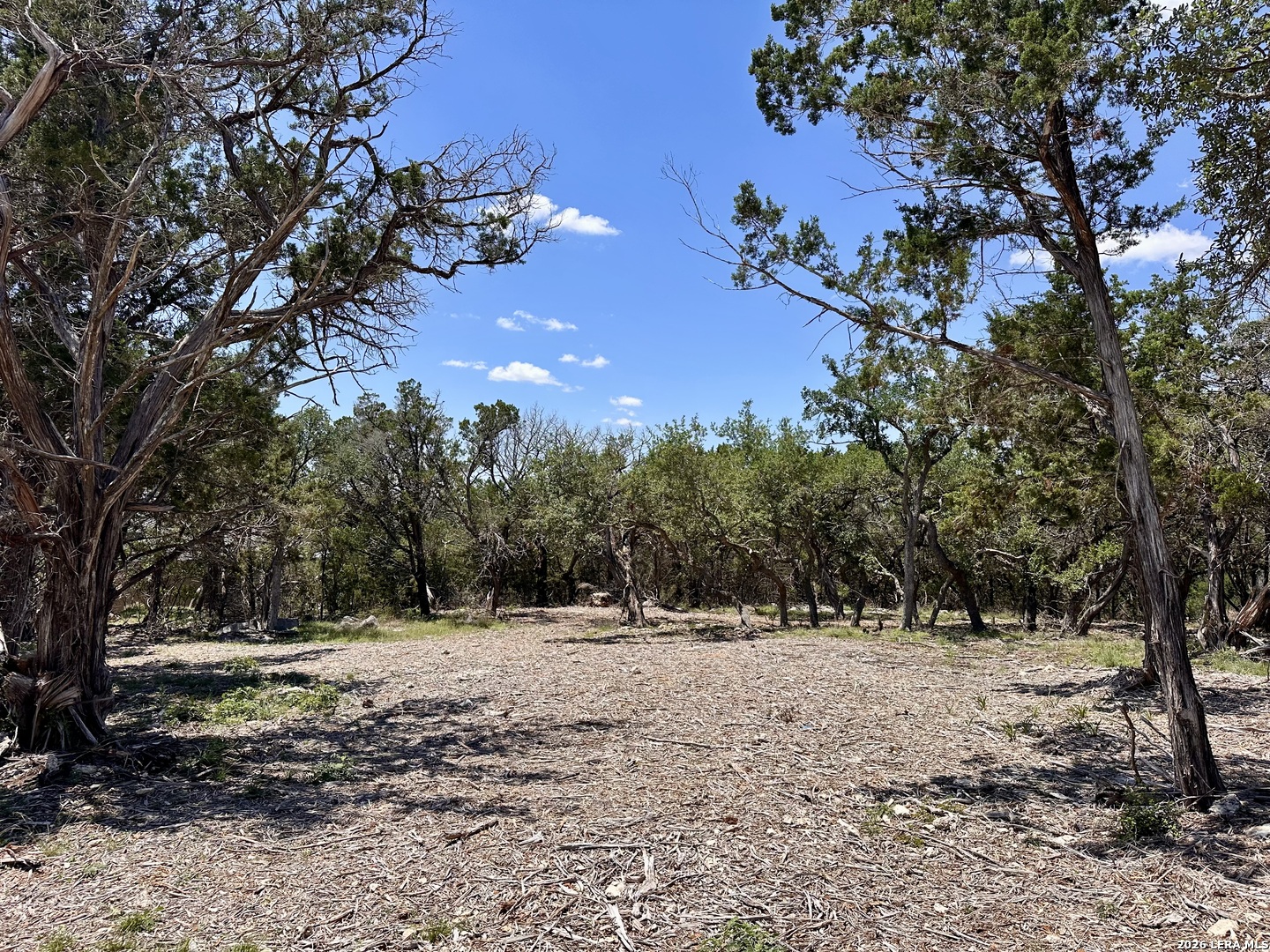 1327 Trailhead New Braunfels TX 78132
