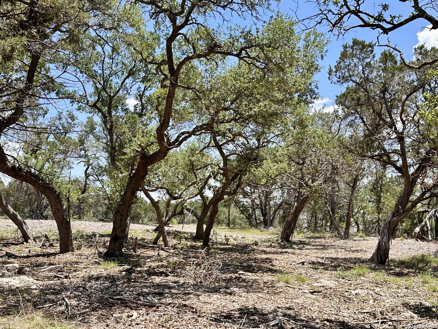 1327 Trailhead New Braunfels TX 78132