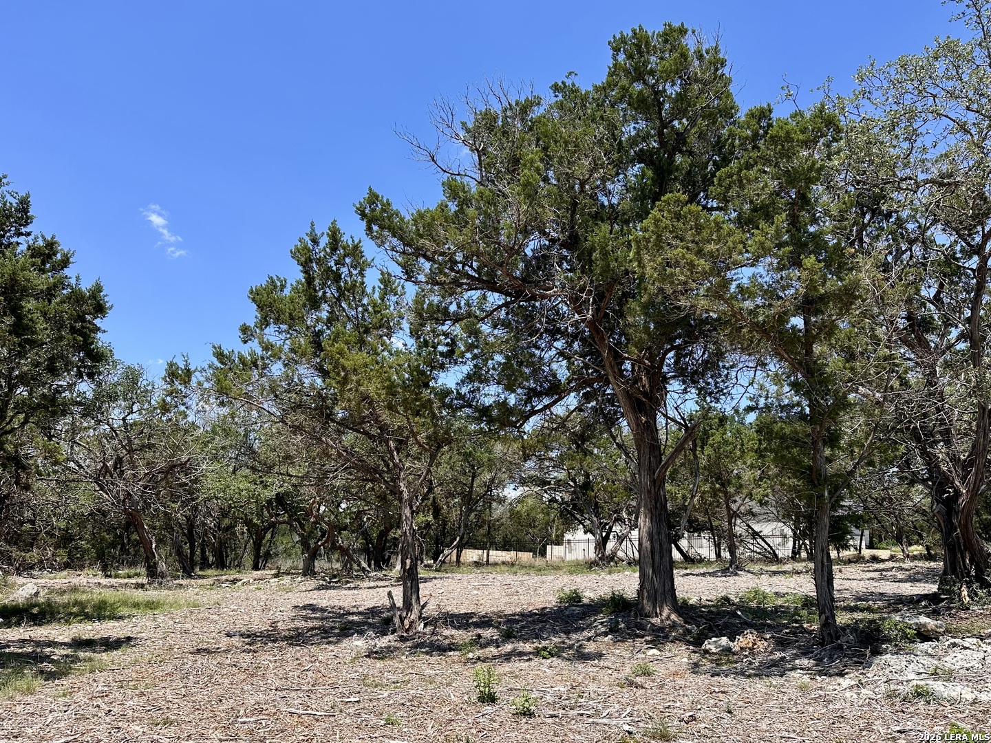 1327 Trailhead New Braunfels TX 78132