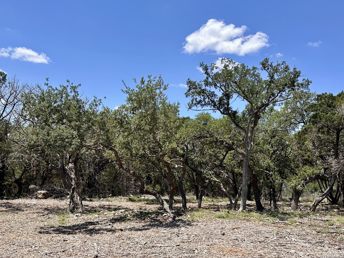 1327 Trailhead New Braunfels TX 78132