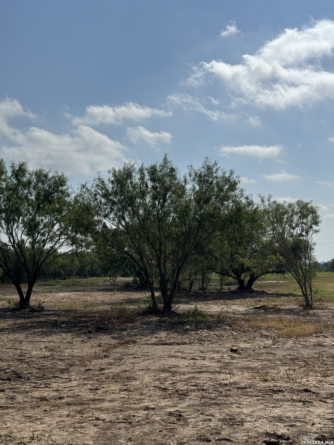 19455 Luckey Road Atascosa TX 78002