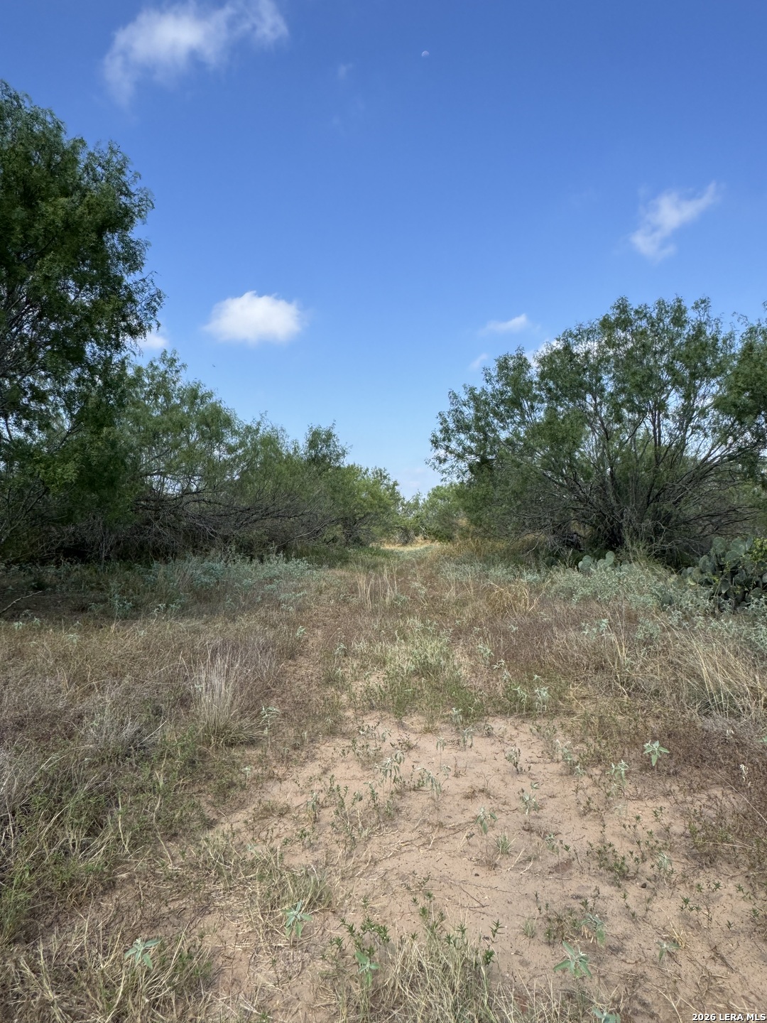 19455 Luckey Road Atascosa TX 78002