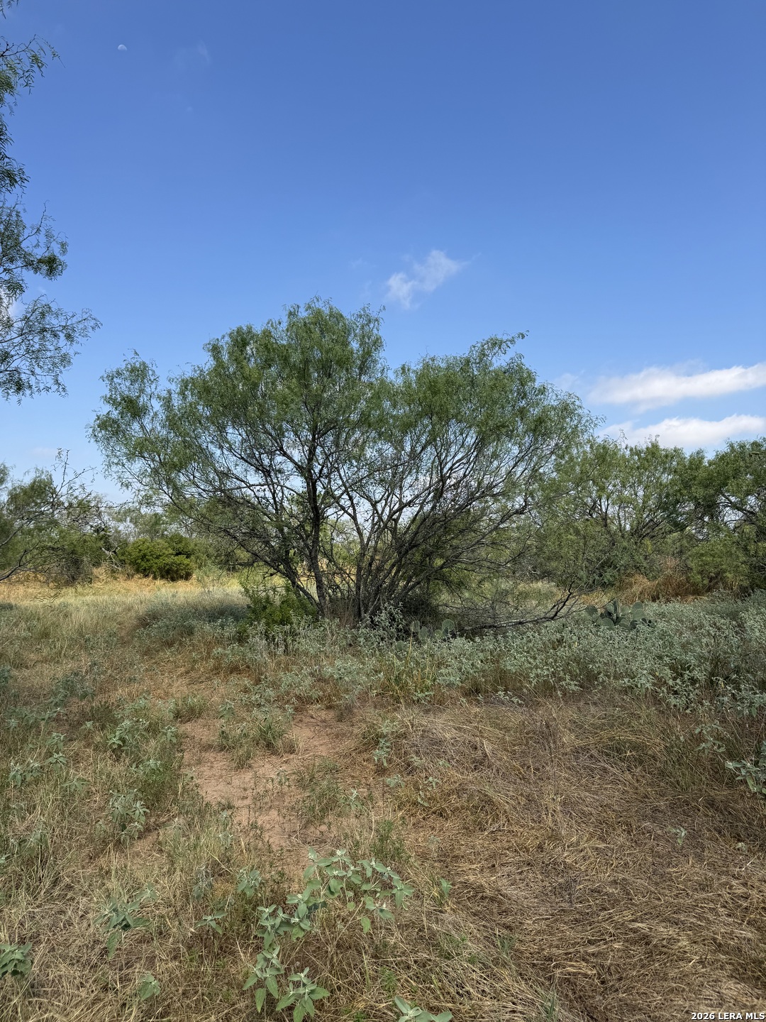 19455 Luckey Road Atascosa TX 78002