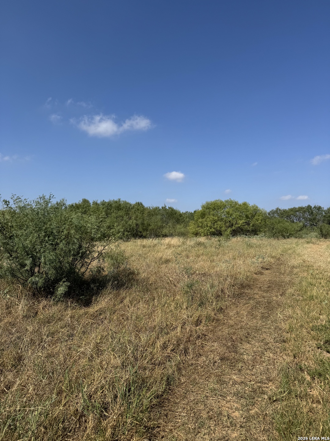 19455 Luckey Road Atascosa TX 78002