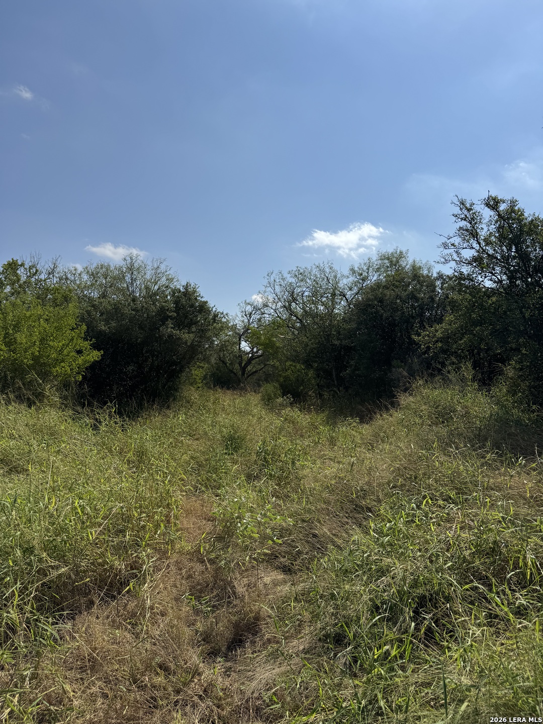 19455 Luckey Road Atascosa TX 78002