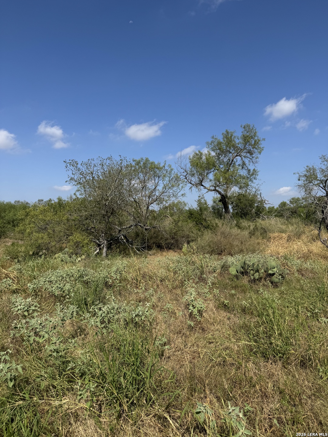 19455 Luckey Road Atascosa TX 78002