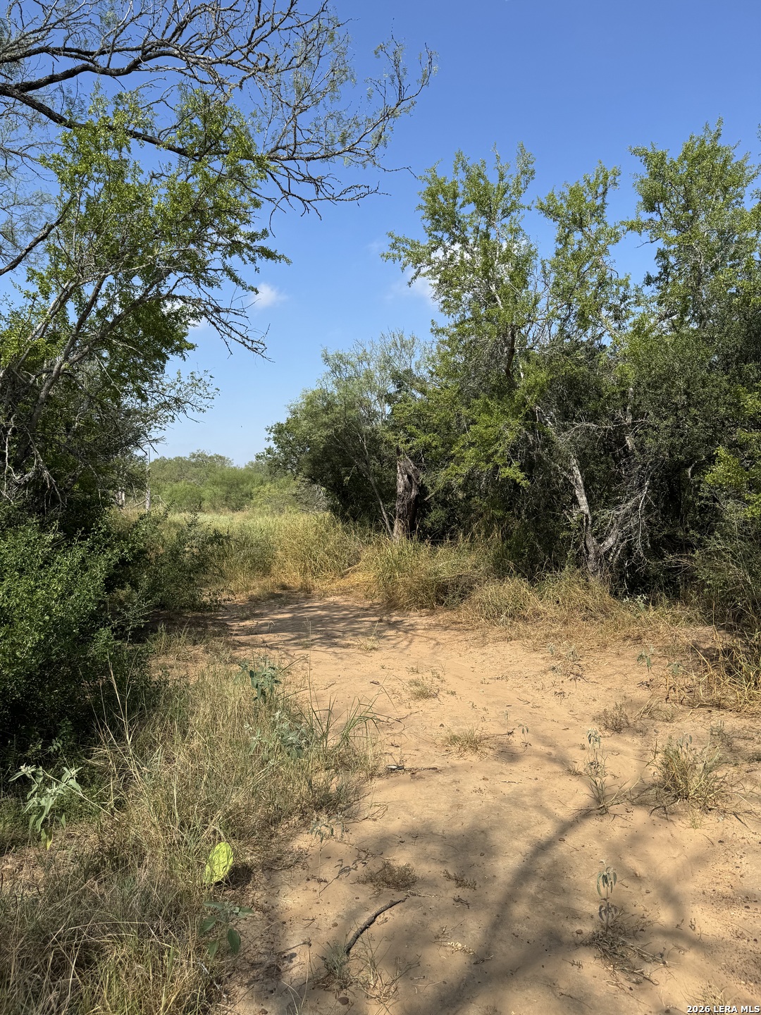 19455 Luckey Road Atascosa TX 78002