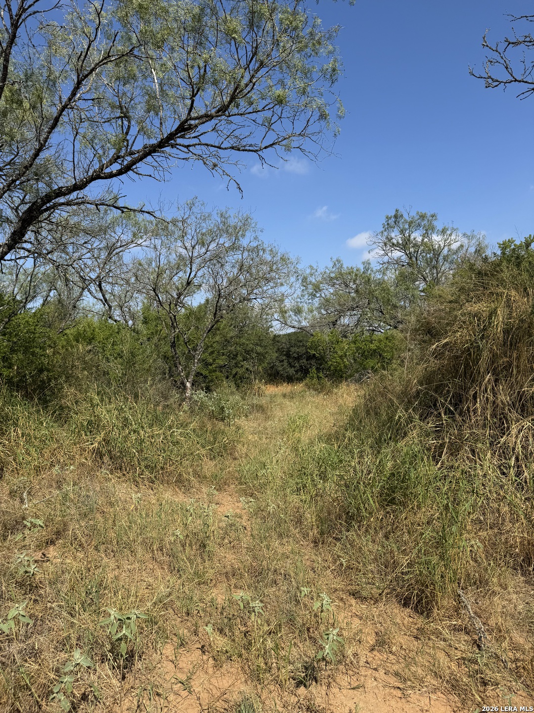 19455 Luckey Road Atascosa TX 78002