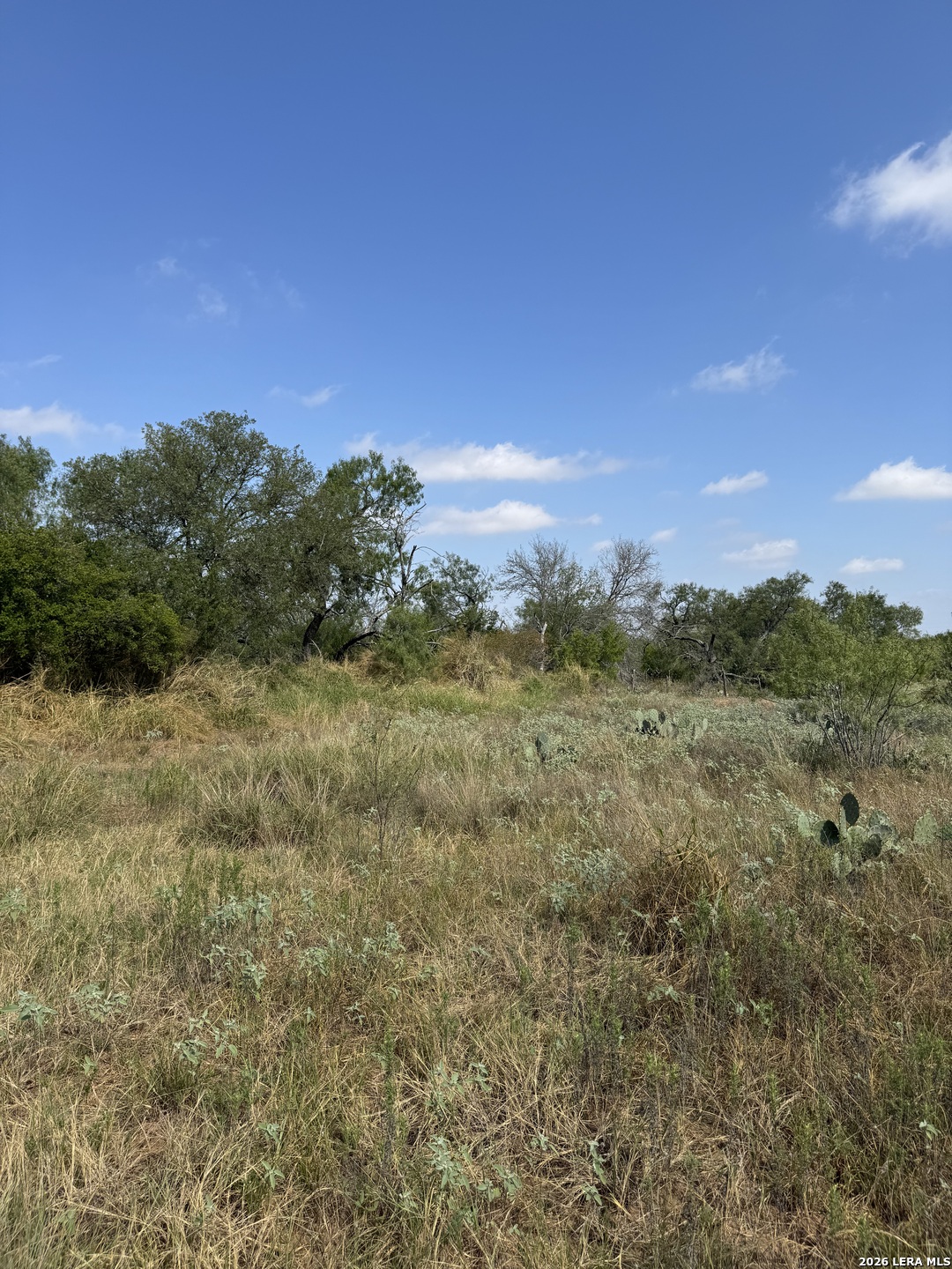 19455 Luckey Road Atascosa TX 78002