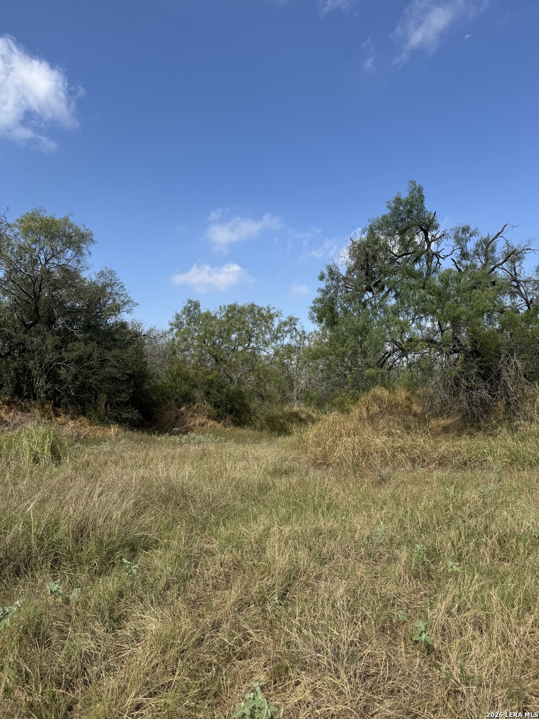 19455 Luckey Road Atascosa TX 78002
