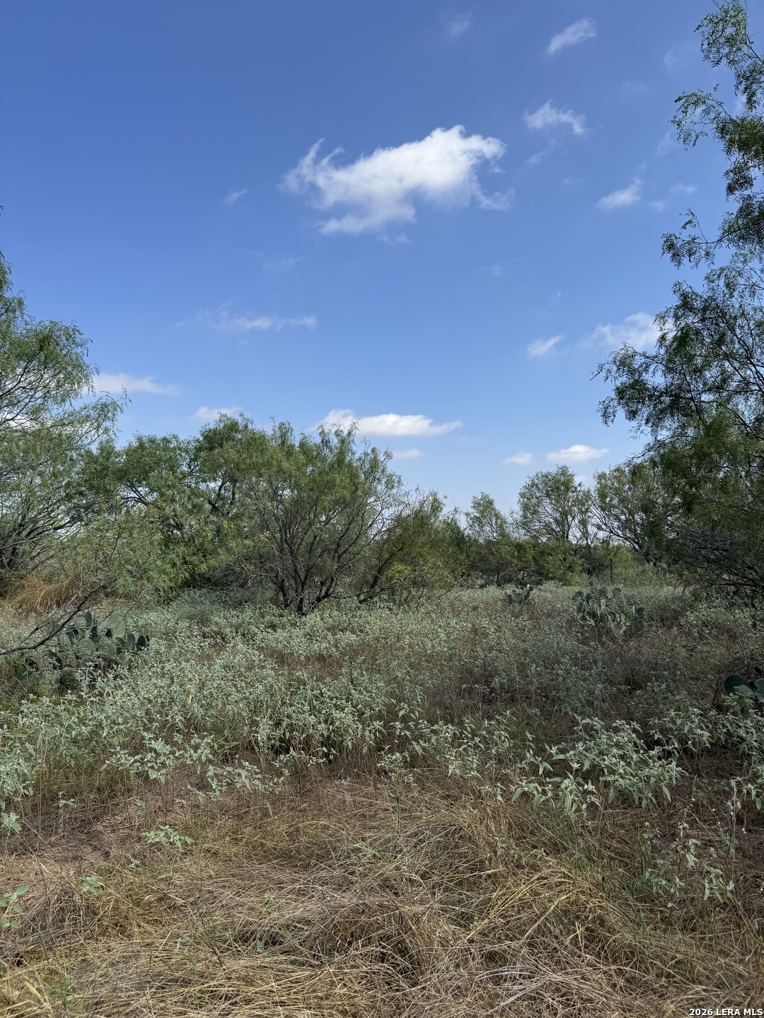 19455 Luckey Road Atascosa TX 78002