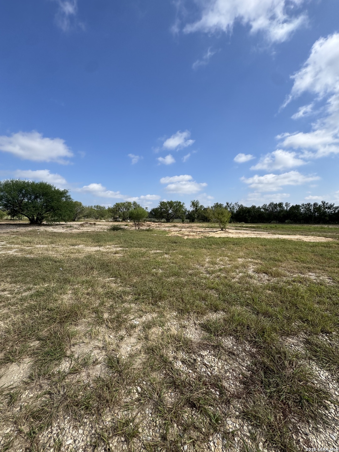 19455 Luckey Road Atascosa TX 78002