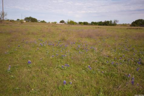 1843 Savanna Ridge Ranch Road Lometa TX 76853