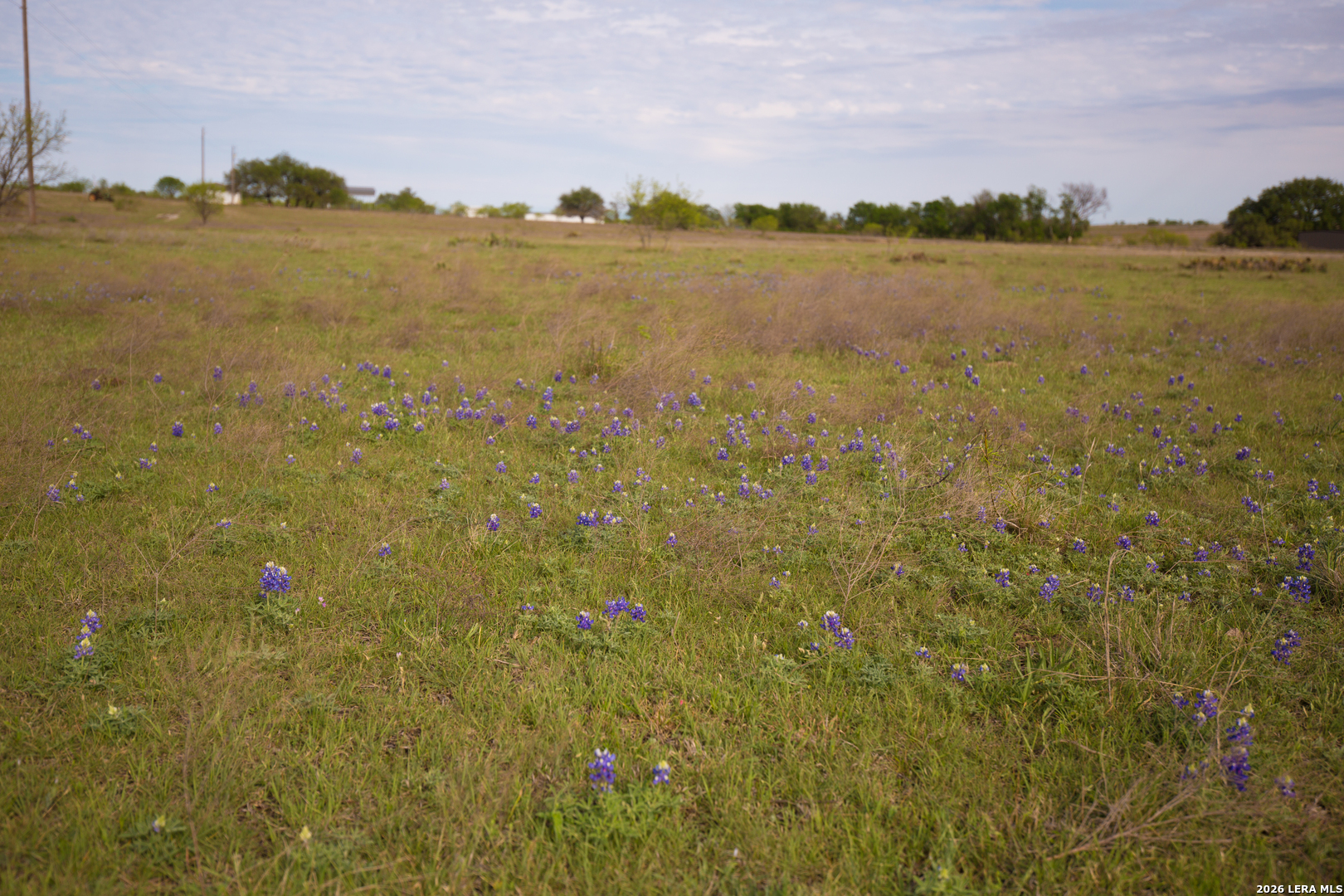 1843 Savanna Ridge Ranch Road Lometa TX 76853