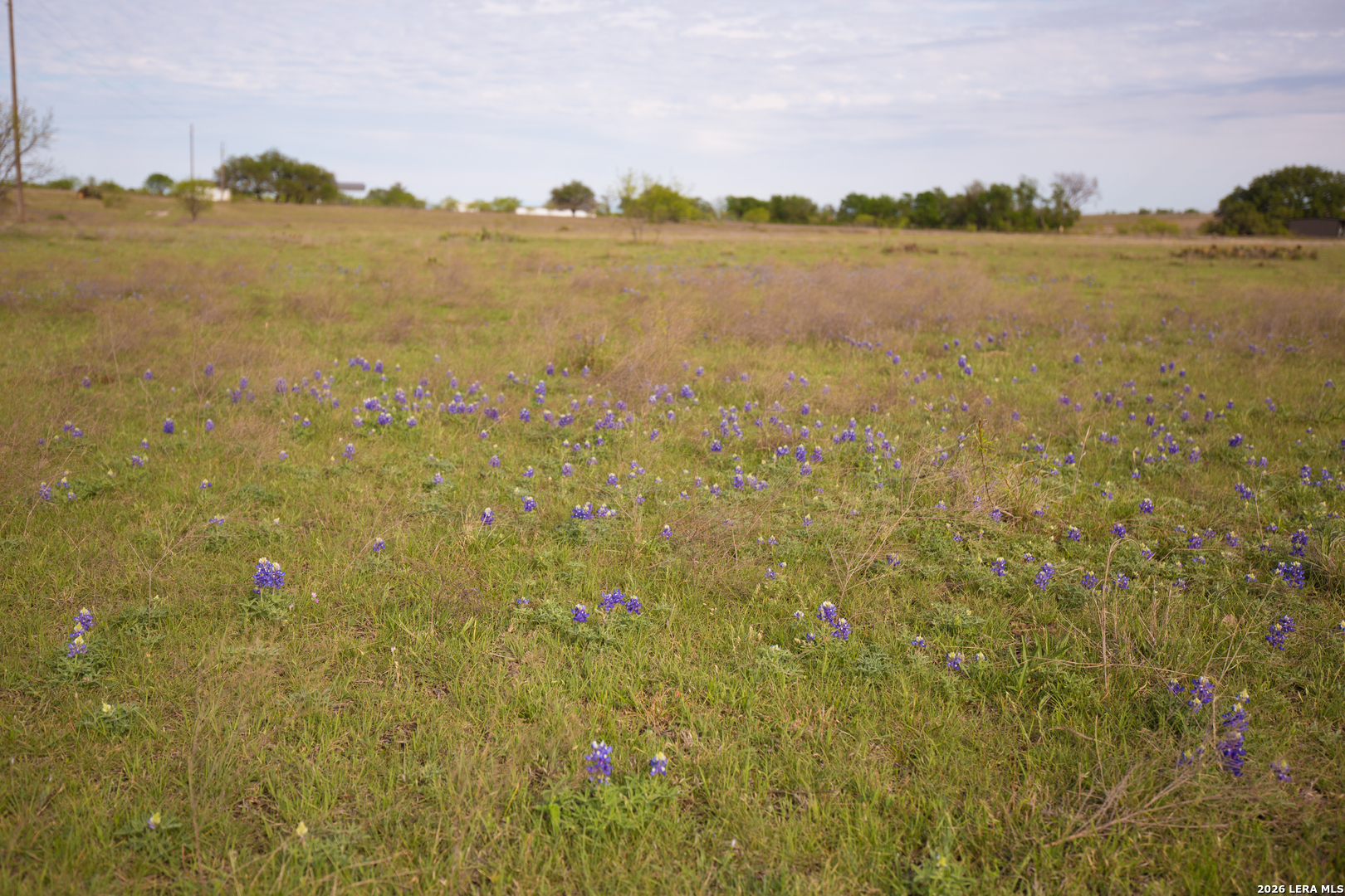 1843 Savanna Ridge Ranch Road Lometa TX 76853