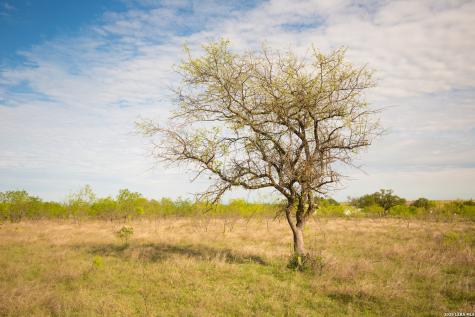 1843 Savanna Ridge Ranch Road Lometa TX 76853