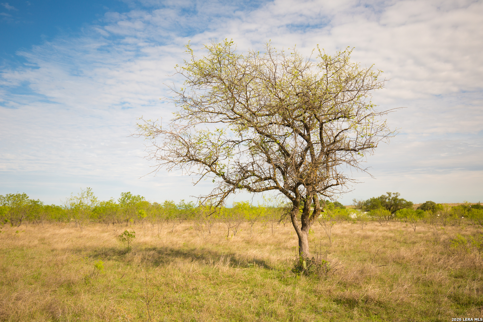 1843 Savanna Ridge Ranch Road Lometa TX 76853