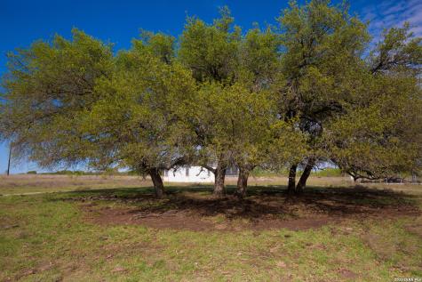 1843 Savanna Ridge Ranch Road Lometa TX 76853