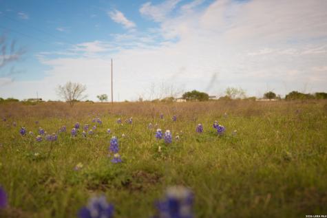 1843 Savanna Ridge Ranch Road Lometa TX 76853