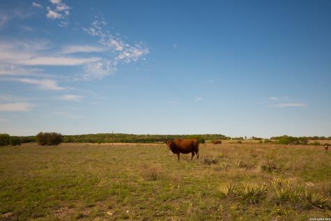 1843 Savanna Ridge Ranch Road Lometa TX 76853
