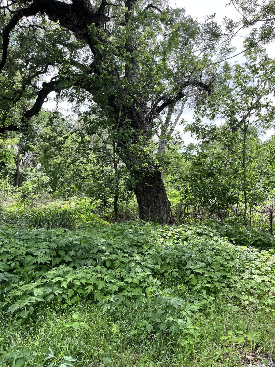 12760 Bernhardt Road San Antonio TX 78263