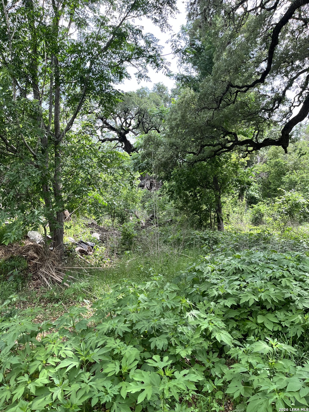 12760 Bernhardt Road San Antonio TX 78263