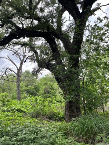 12760 Bernhardt Road San Antonio TX 78263