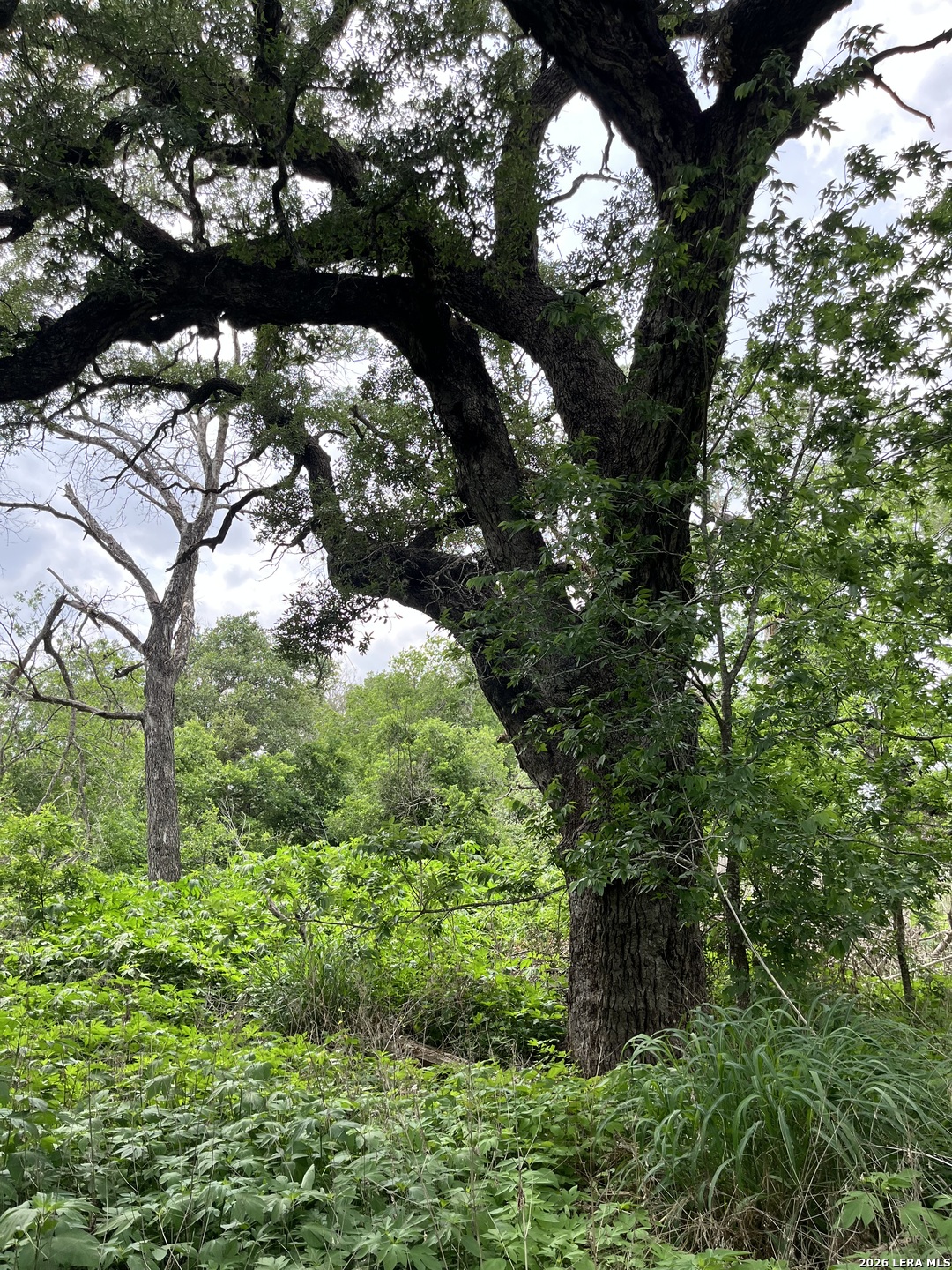 12760 Bernhardt Road San Antonio TX 78263