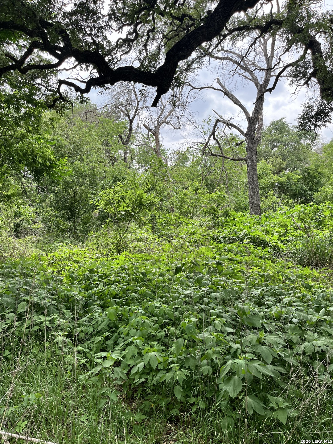 12760 Bernhardt Road San Antonio TX 78263