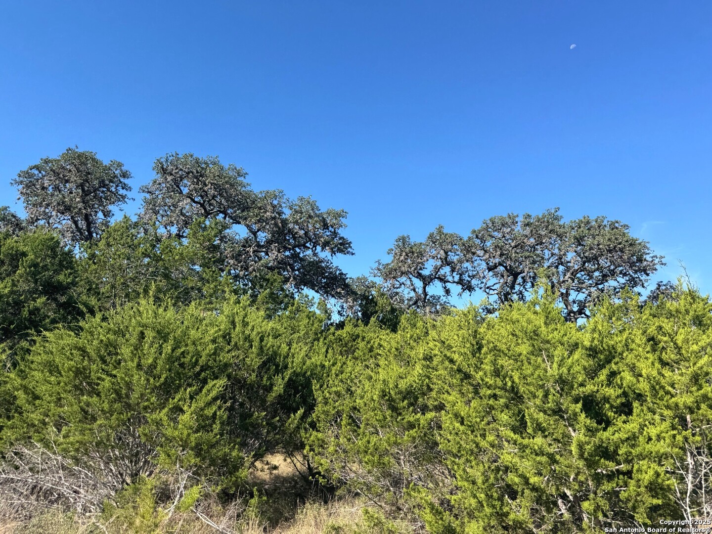 Tbd Fm 2828 Bandera TX 78003