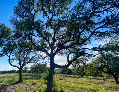 153 Galvin Woods Road Kerrville TX 78028