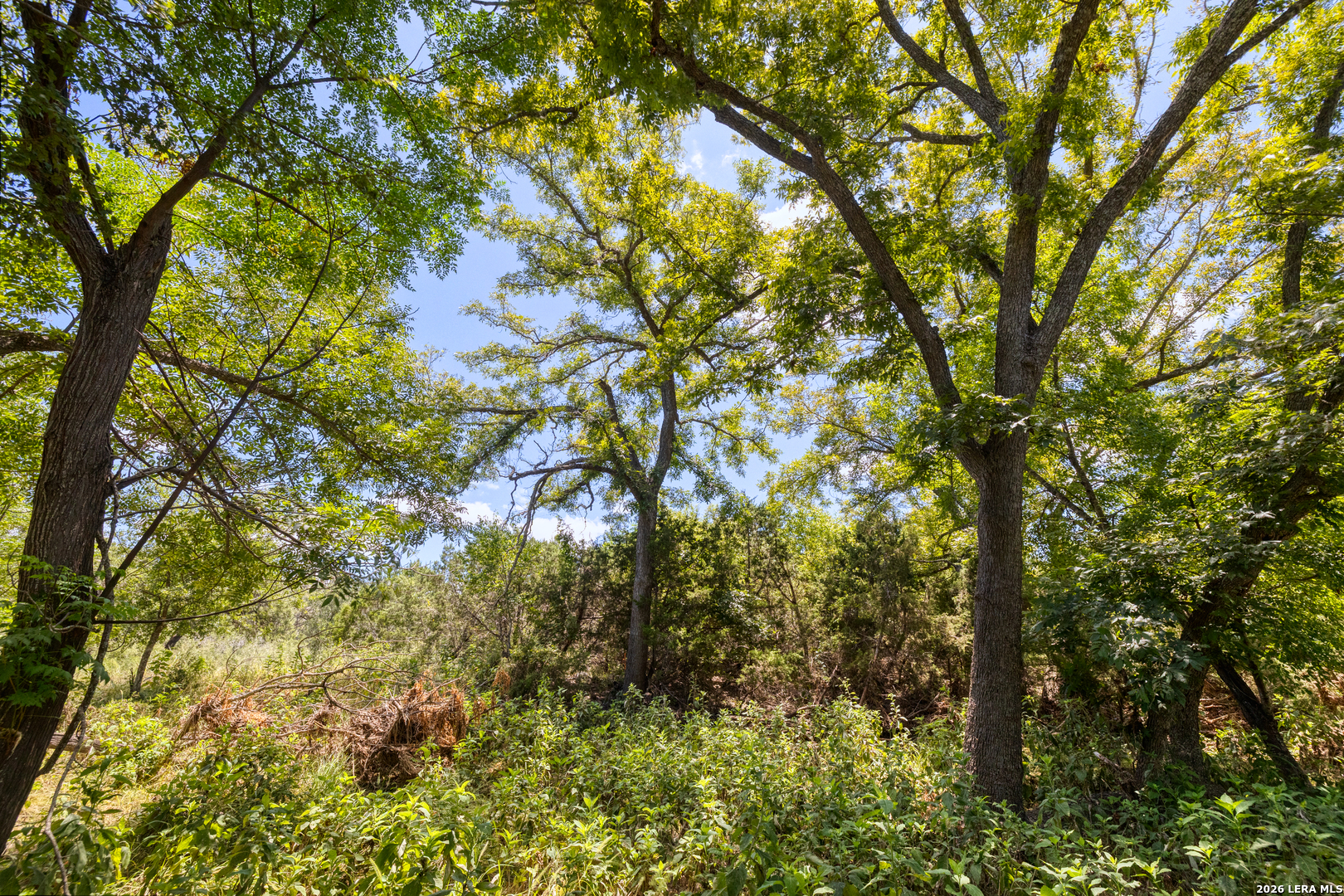 124 Fahrig Road Leakey TX 78873