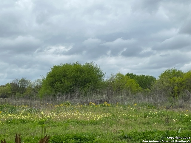 Tbd Pr 6736 Devine TX 78016