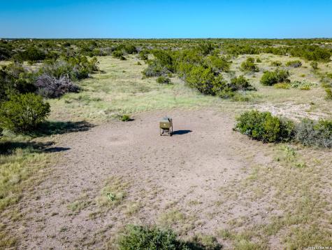 100 W Milkweed Court Ozona TX 76943