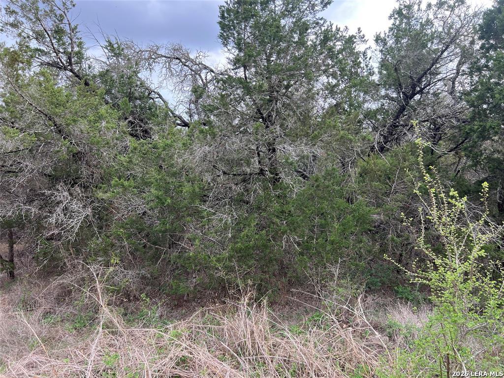 800 Fox San Marcos TX 78666