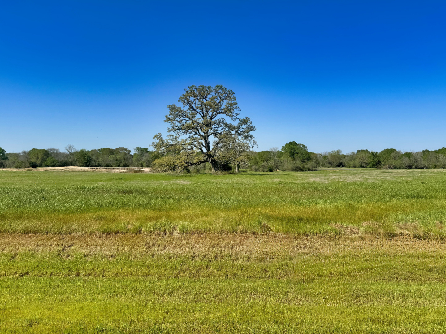 10022 Hidden Pond Drive Iola TX 77861